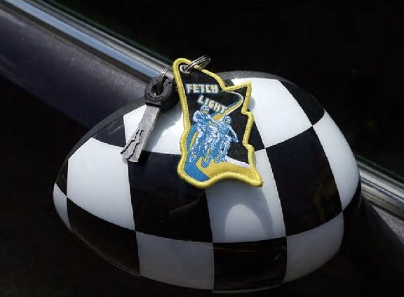 storm-bee-keychain-490276.jpg