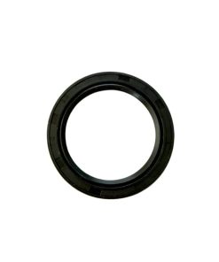 Storm Bee Swingarm Seal