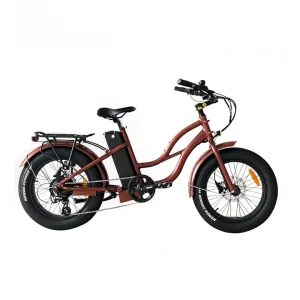 COSTAL CRUISERS STEP THRU MINI 20X4 - 52V BEACH CRUISER ELECTRIC BIKE