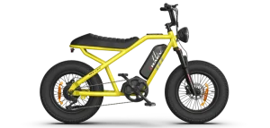 RAEV BULLET V2 ELECTRIC BICYCLE